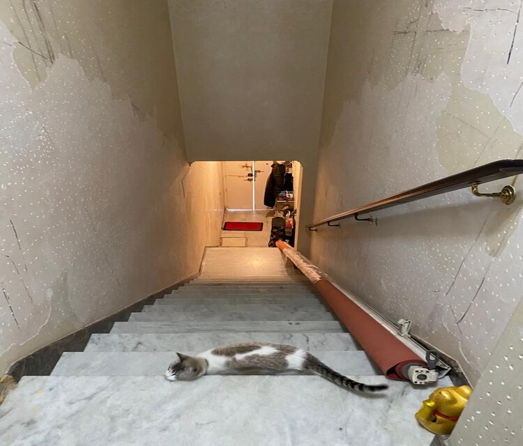 ESCALERA VIVIENDA.jpg